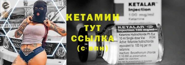 шишки Армянск