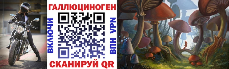 Псилоцибиновые грибы Cubensis  blacksprut онион  Приморско-Ахтарск  закладка 